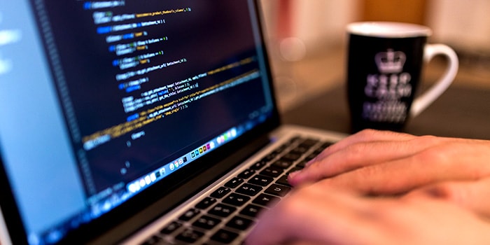 Area of Study - Information Technology