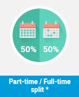 Part-time Full-time split for Information Technology